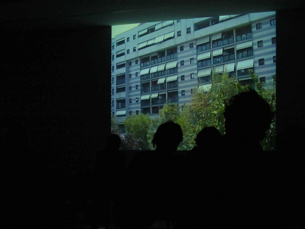 VALENTINA MAGGI, Specie di Spazi, 2008, video, 3'18'', INSTALLATION VIEW